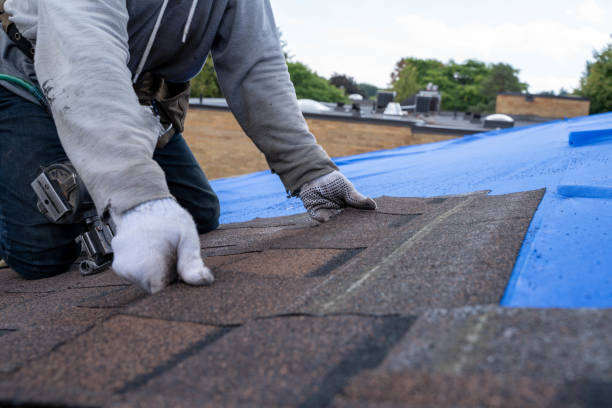 Gutter Installation and Roofing in Mound Bayou, MS