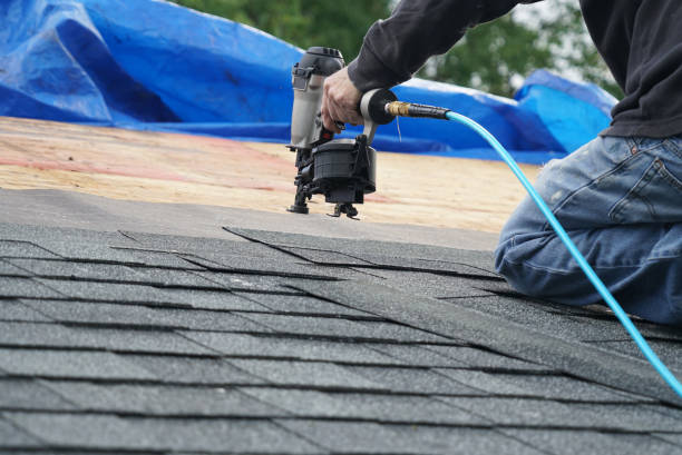 Best New Roof Installation  in Mound Bayou, MS